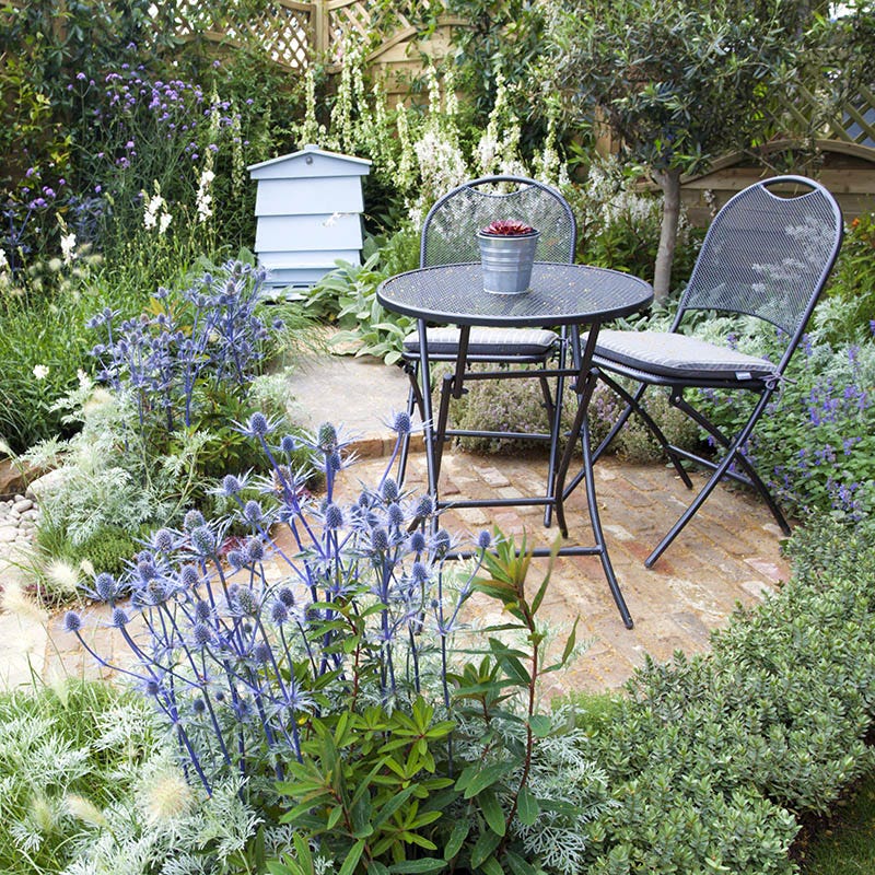 Blue Glitter Sea Holly (Eryngium)