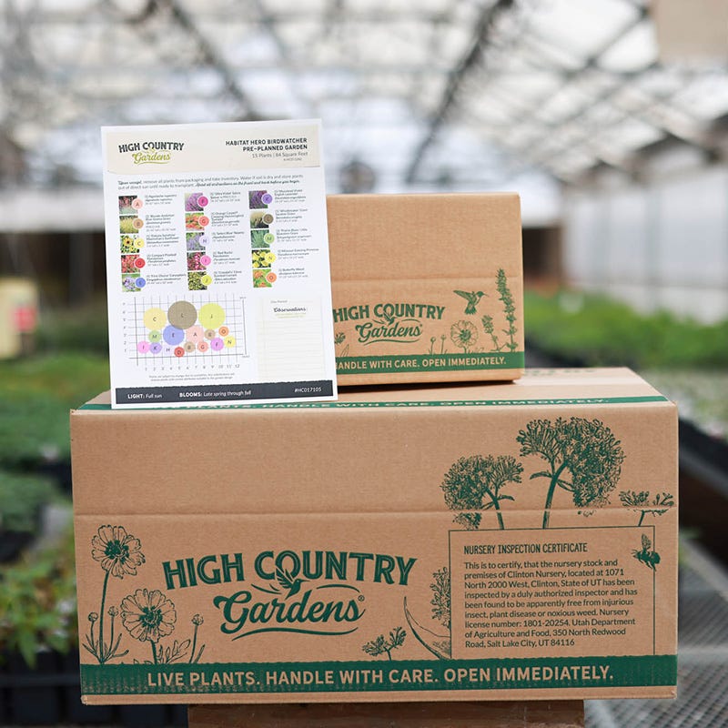  Habitat Hero Birdwatcher Pre-Planned Garden