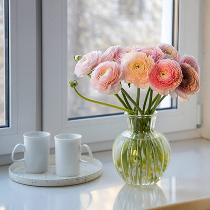  Pastel Ranunculus Mix
