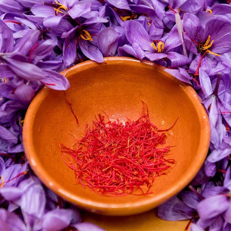  Saffron Crocus