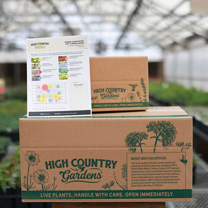  Summer Showstopper Pre-Planned Garden