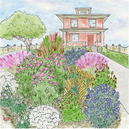  Watershed Wise Pre-Planned Garden